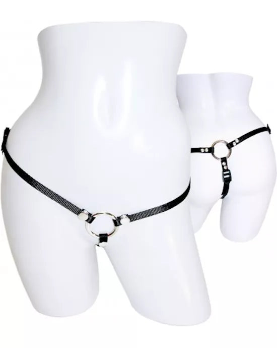 Bare as You Dare Harness