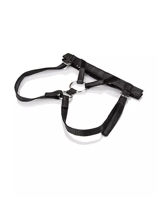 Her Royal Harness The Duchess