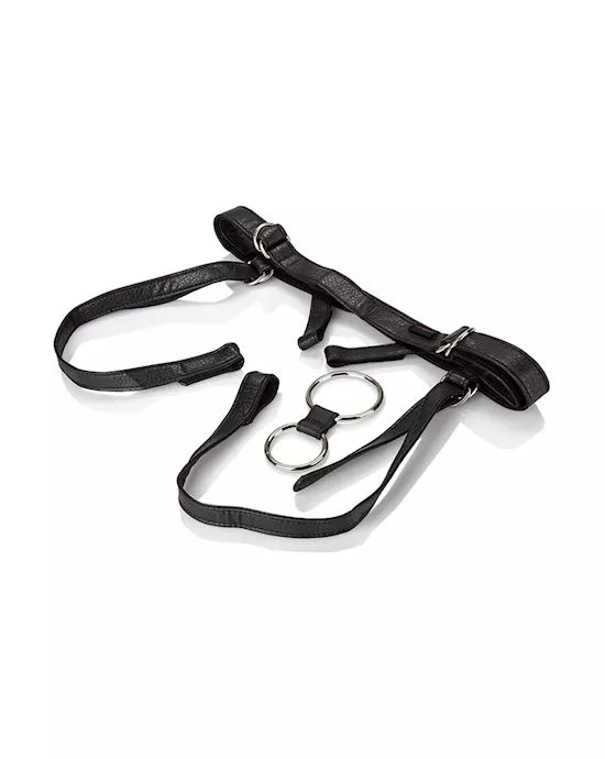 Her Royal Harness The Duchess