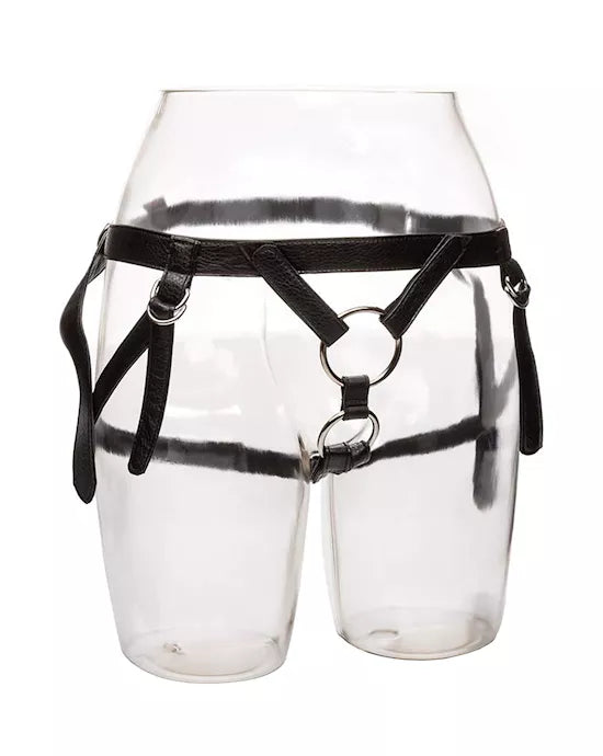 Her Royal Harness The Duchess