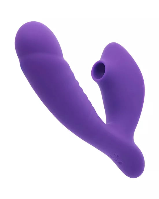 Share Satisfaction Ravi