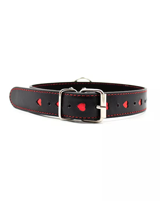 Full Control Collar and Leash