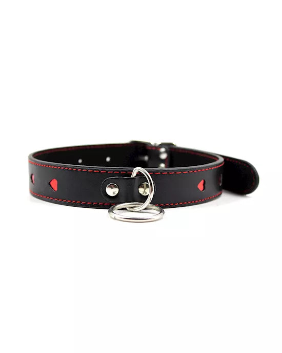 Full Control Collar and Leash