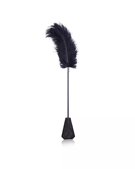 Ostrich Feather and Lace Paddle