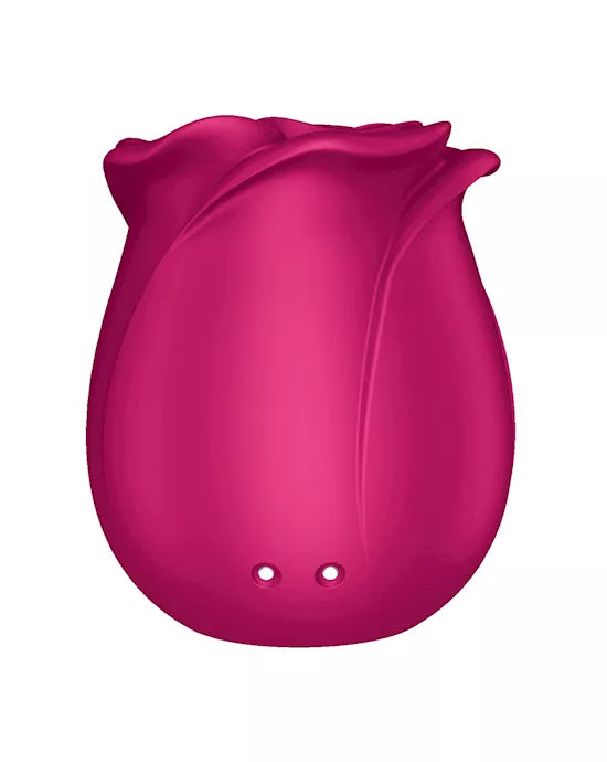 Satisfyer Pro 2 Classic Blossom
